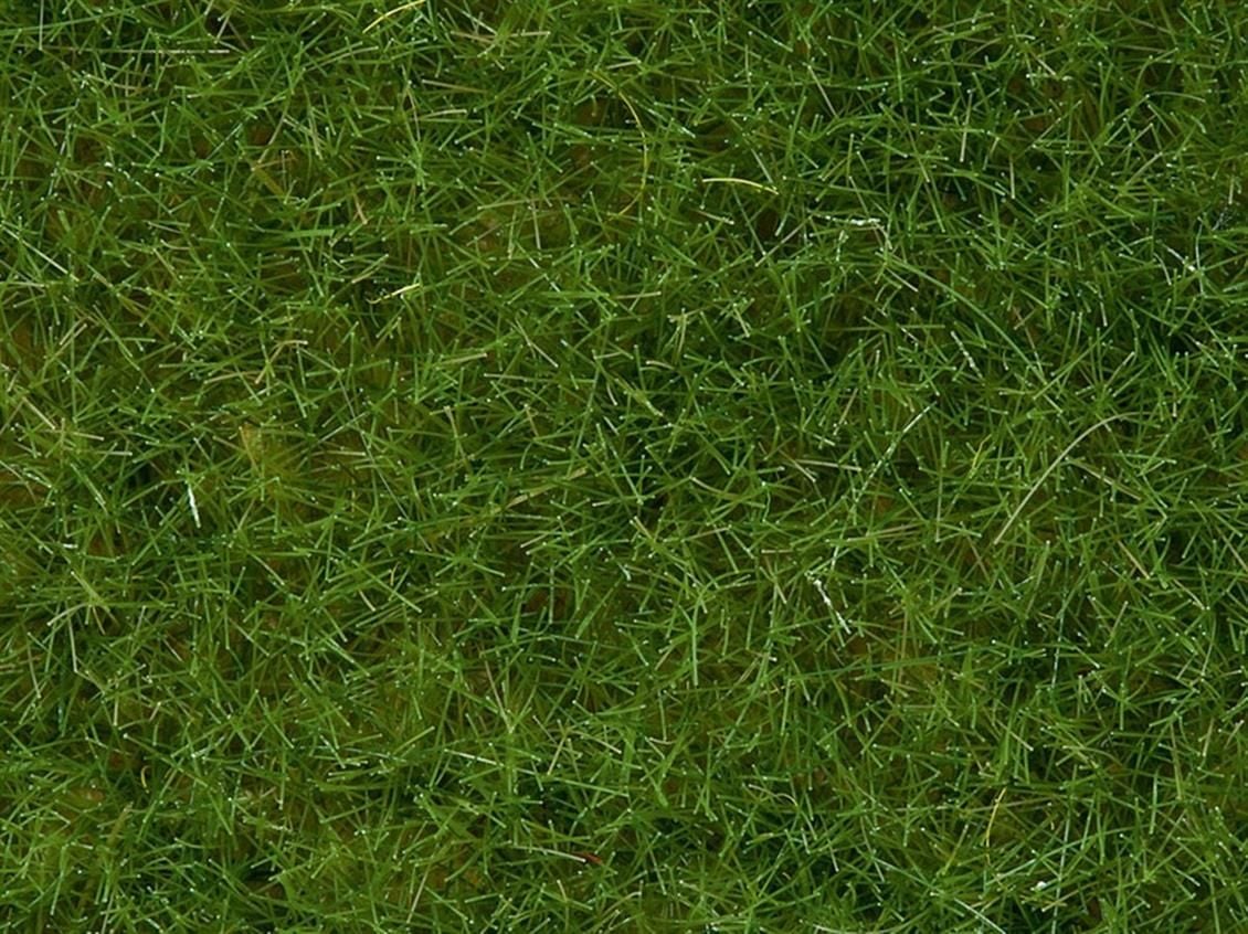 Noch 7102 Yabani Otlar, Açık Yeşil, 6 mm, 50 Gram Diorama Malzemesi
