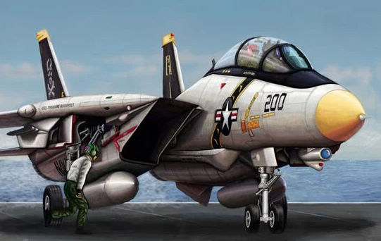 1/144 F-14 A Tomcat