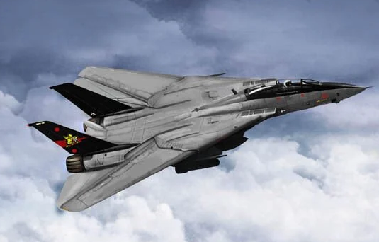1/144 F-14 B Tomcat