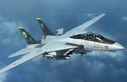 1/144 F-14 D Tomcat