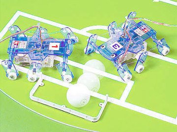 Remote Control Insect (2ch R/C)
