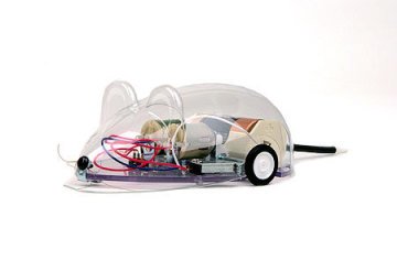 Wall Huging Mouse