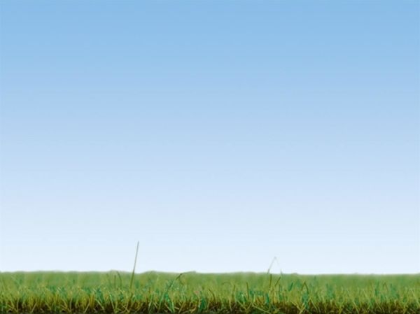 Noch 8155 Serpme Çim, Çiçekli Çayır, 2.5 mm, 120 Gram Diorama Malzemesi
