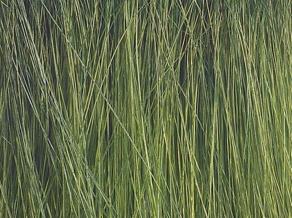 Noch 7060 Karışık Renkte Sazlıklar Diorama Malzemesi