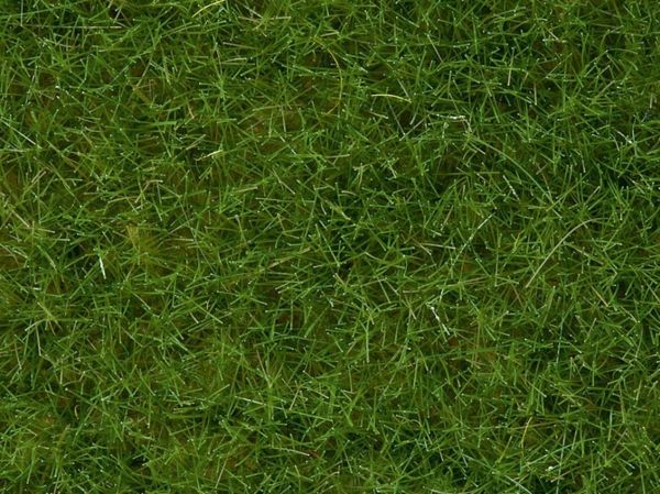 Noch 7102 Yabani Otlar, Açık Yeşil, 6 mm, 50 Gram Diorama Malzemesi