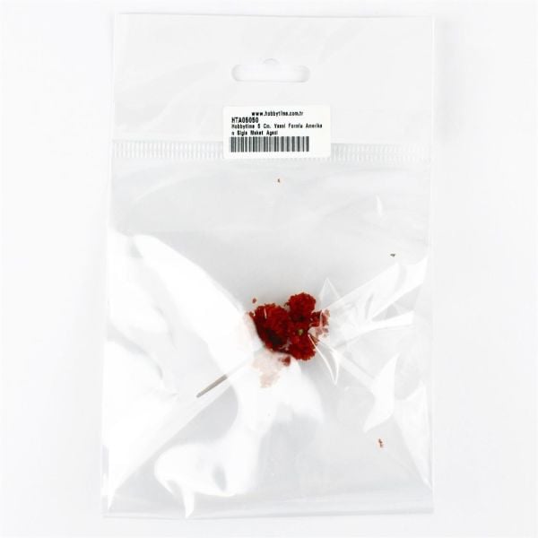 Hobbytime 5 Cm. Yassı Formlu Amerikan Sığla Maket Ağacı