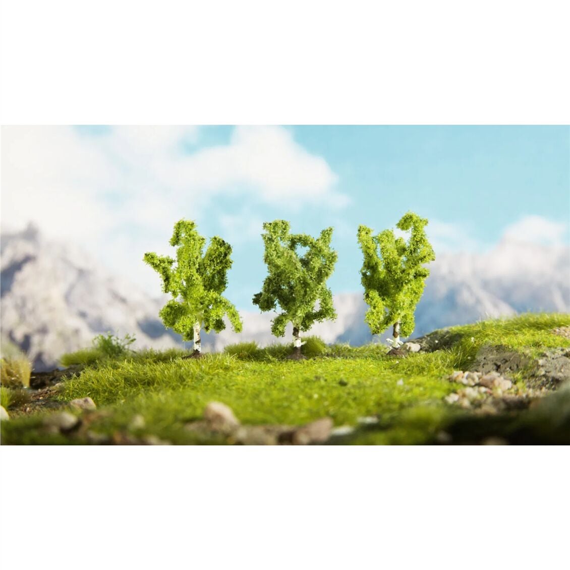 Noch 25520 Huş Ağaçları, 4,5 cm. 3 Adet, Diorama Malzemesi