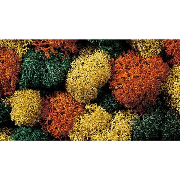 Noch 8630 Liken, Sonbahar Renkleri, 35 Gram Diorama Malzemesi