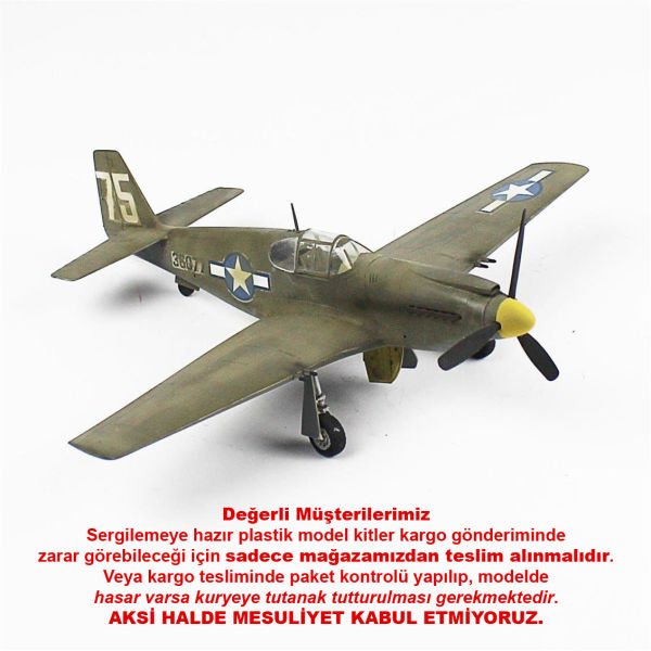 QD035 1/48 Ölçek, P-51C Mustang Sergilemeye Hazır Plastik Uçak Maketi