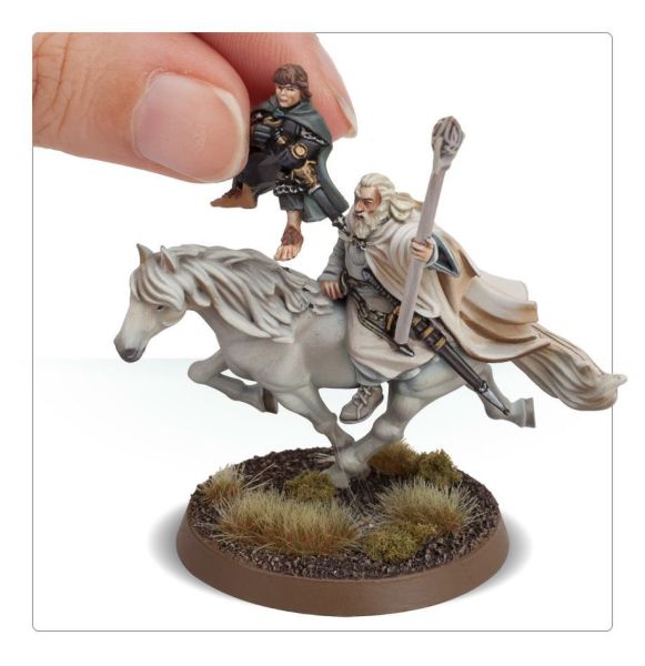 Lord of the Rings: Gandalf the White & Peregrin Took