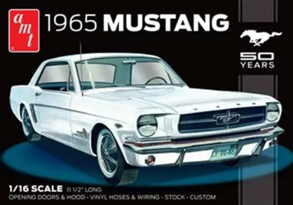 1965 MUSTANG