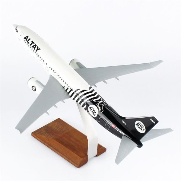 THY037 1/100 Ölçek, THY Altay Spor Logolu B737-800 Yolcu Uçağı, Sergilemeye Hazır Ahşap Standlı Model