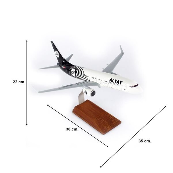 THY037 1/100 Ölçek, THY Altay Spor Logolu B737-800 Yolcu Uçağı, Sergilemeye Hazır Ahşap Standlı Model
