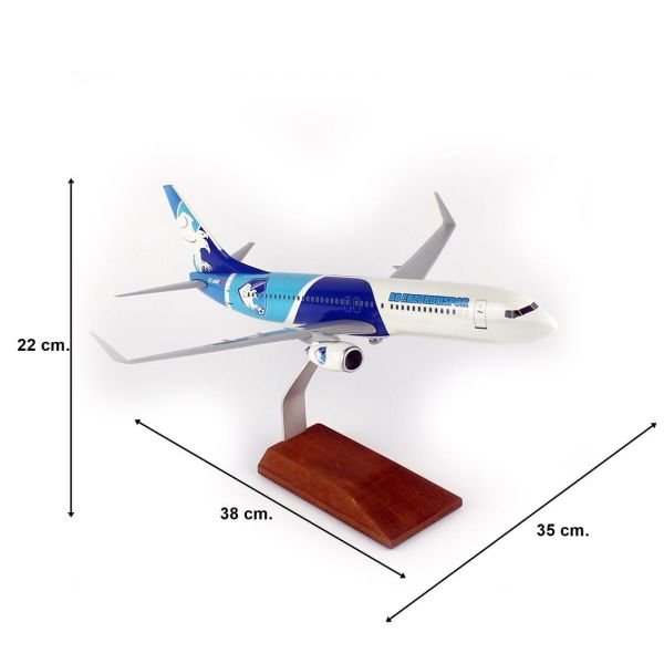 THY050 1/100 Ölçek, THY Erzurum Spor Logolu B737-800 Yolcu Uçağı, Sergilemeye Hazır Ahşap Standlı Model