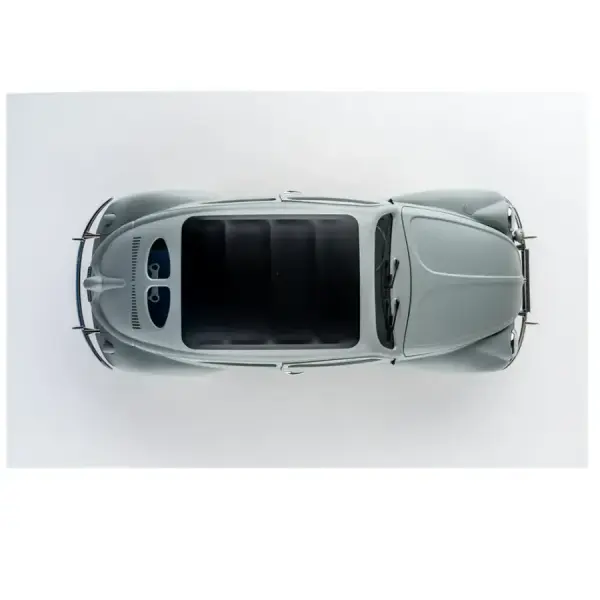 FMS ROCHOBBY 1/12 The People's Car Beetle RC Car RTR